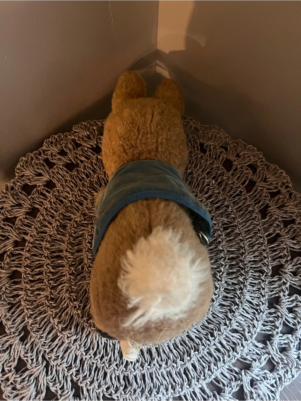 Vintage Beatrix Potter Peter Rabbit stuffed animal wind up not working